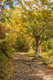 北海道　大沼国定公園　秋の風景 北海道,大沼,函館の写真素材