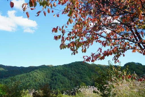 開田高原の秋の訪れ 開田高原の秋の訪れの写真