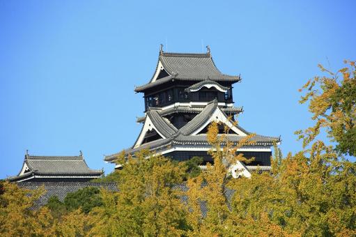 熊本城の秋 熊本城,城,熊本の写真素材