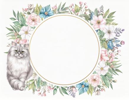 ペルシャ猫と花のフレーム ペルシャ猫と花のフレームの写真