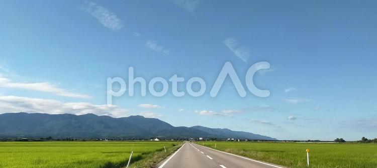 田んぼの中を真っ直ぐに伸びる道 道,道路,田舎の写真素材