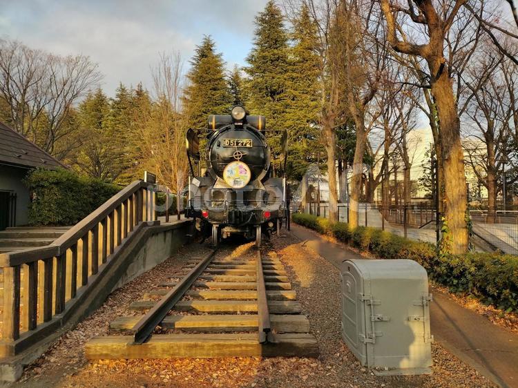 東京世田谷公園の蒸気機関車D51272 機関車,蒸気,d51の写真素材
