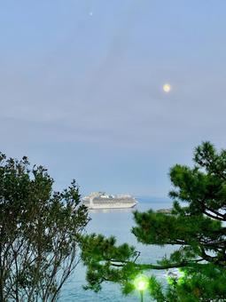 桂浜の海 桂浜の海 海,桂浜,波の写真素材