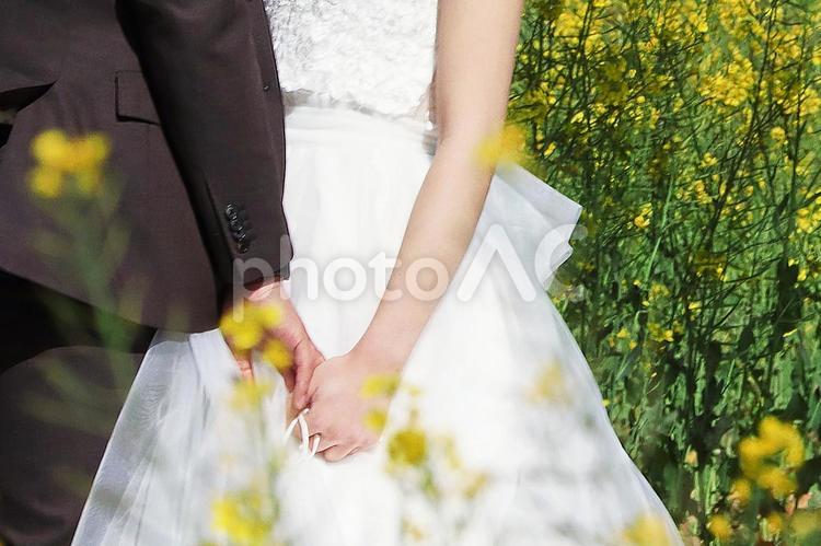 結婚やウェディングのイメージ 結婚,ウェディング,ウエディングの写真素材