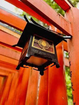 鳥居 伏見稲荷,鳥居,朱色の写真素材