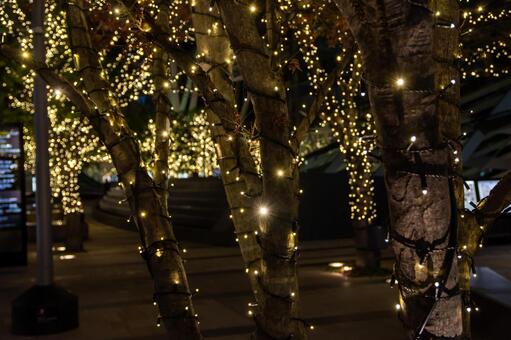 クリスマスのイルミネーション クリスマス,イルミネーション,ライトアップの写真素材