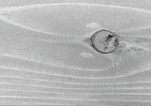 モノトーン色褪せた年輪が美しい木目の背景 モノトーン色褪せた年輪が美しい木目の背景の写真