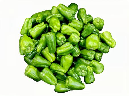 野菜・ピーマン 野菜・ピーマン ピーマン,栽培,品種の写真素材