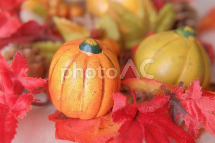秋のイメージ素材 秋,ハロウィン,素材の写真素材