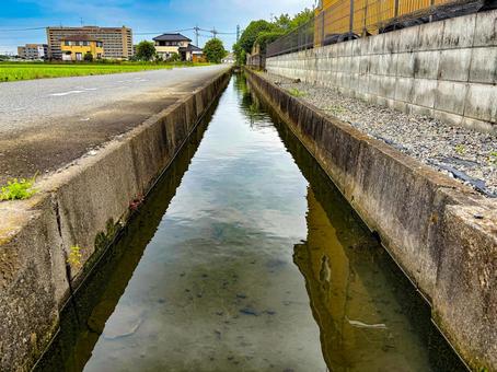 Photo, canal, paddy field, an urban area, 