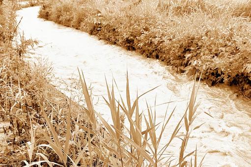 2025年9月の里山21 2025年9月の里山21 用水路,大雨,豪雨の写真素材