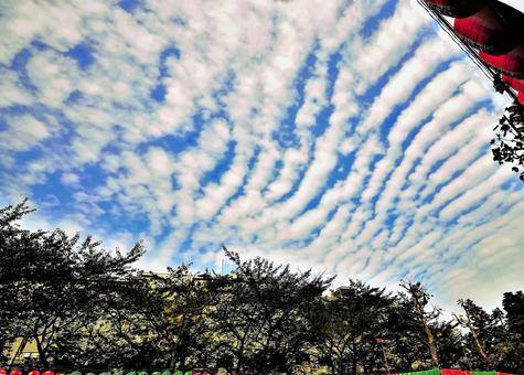 雲と木々 雲と木々の写真