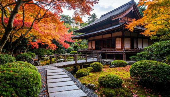 秋の紅葉 秋の紅葉の写真