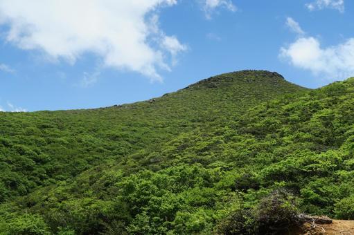 登山 登山 緑,新緑,山の写真素材