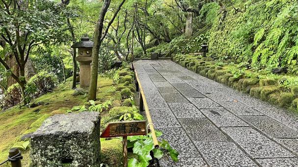 坂東33観音 04番 長谷寺 雨天の参道 坂東33観音 04番 長谷寺 雨天の参道 長谷寺,海光山,慈照院の写真素材