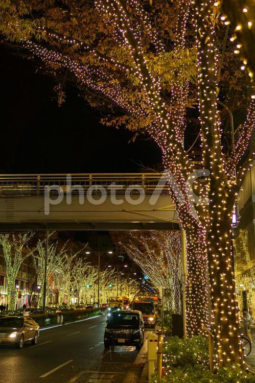 表参道　イルミネーション 表参道,イルミネーション,クリスマスの写真素材