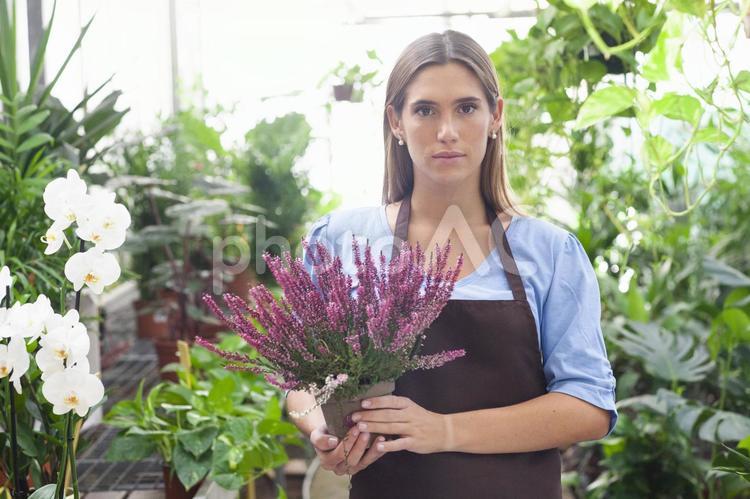鉢植えを持ってカメラ目線の女性1 女性,フローリスト,花屋の写真素材