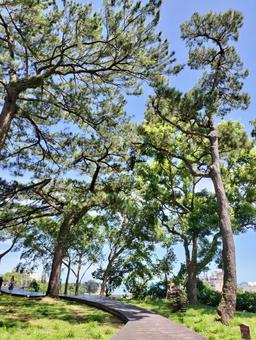 松園別館 松園別館の写真
