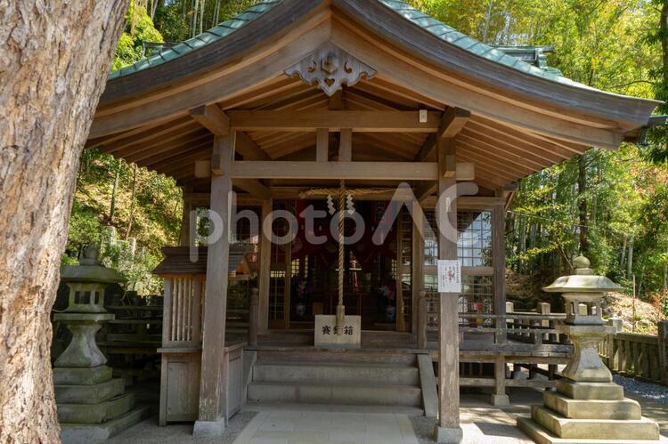玉園稲荷神社 玉園稲荷神社,稲荷,諏訪神社の写真素材