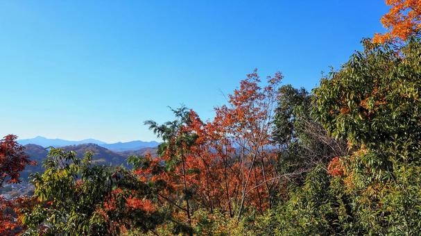 天覧山の頂上からの眺望&紅葉の山・飯能市 天覧山の頂上からの眺望&紅葉の山・飯能市 秋,天覧山,頂上の写真素材