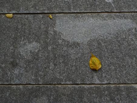 落ち葉 落ち葉 落ち葉,枯葉,背景の写真素材