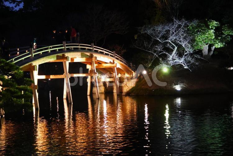 １１月下旬の栗林公園の紅葉のライトアップ 背景,紅葉,葉の写真素材