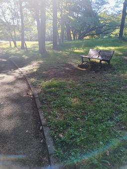 幻想的な光と公園のベンチ 幻想的な光と公園のベンチの写真