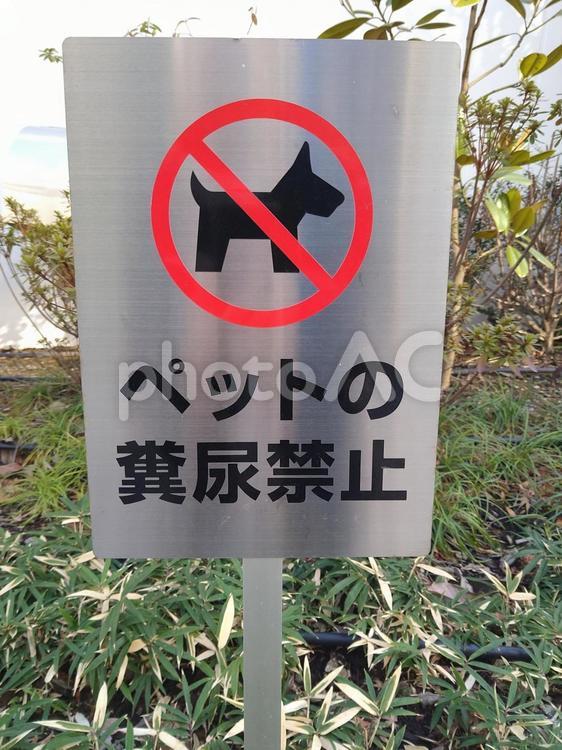ペットのマナーを訴える立て看板 ペット,糞,マナーの写真素材