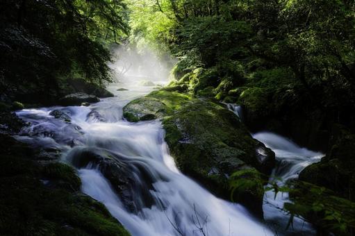 熊本-【菊池渓谷の光芒】 熊本-【菊池渓谷の光芒】 熊本,菊池渓谷,川の写真素材