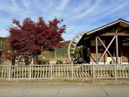 11月　秋の竹田水車メロディーパーク 竹田水車メロディーパーク,自然,水車の写真素材