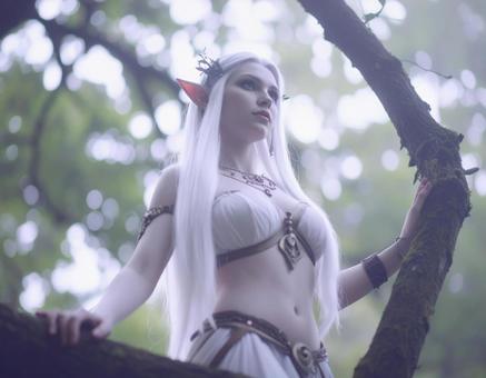 エルフの女性 エルフの女性の写真