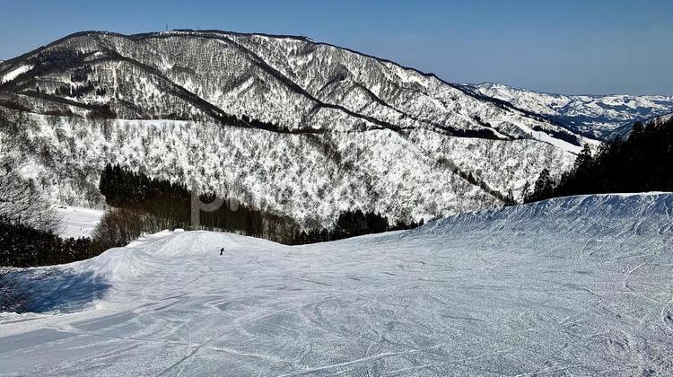 神立スノーリゾートのパーク内の風景 神立,スノーリゾート,パークの写真素材