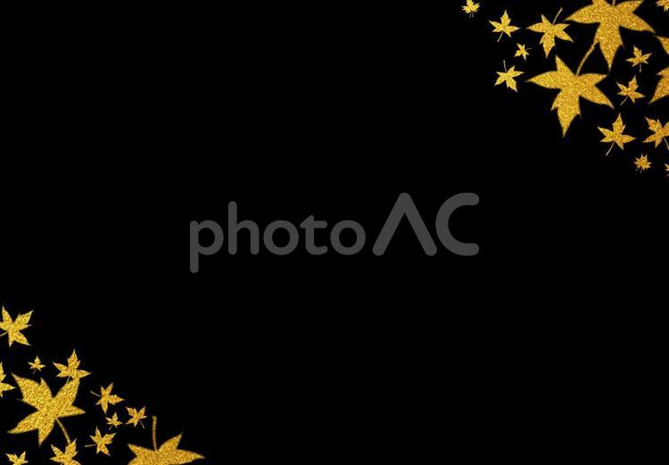 使いやすい背景　高級感ある黄金の紅葉　フレーム　素材　 背景,金,ゴールドの写真素材