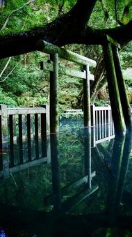 静寂 静寂の写真