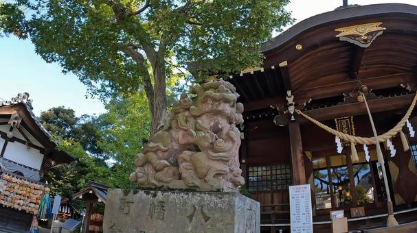 埼玉県行田市行田　 行田八幡神社　狛犬 埼玉,行田市行田,行田八幡神社の写真素材