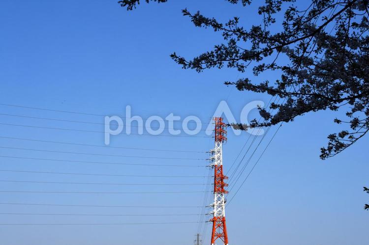 鉄塔がある風景 鉄塔,送電線,電線の写真素材