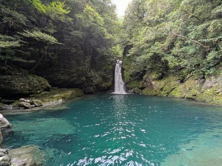 仁淀ブルーが美しいにこ淵 仁淀ブルーが美しいにこ淵の写真