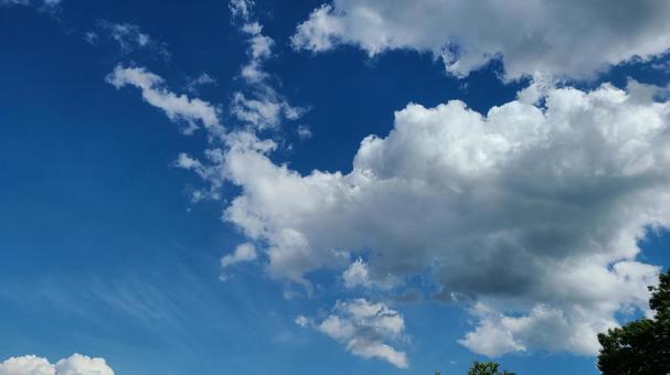 夏空 夏空の写真