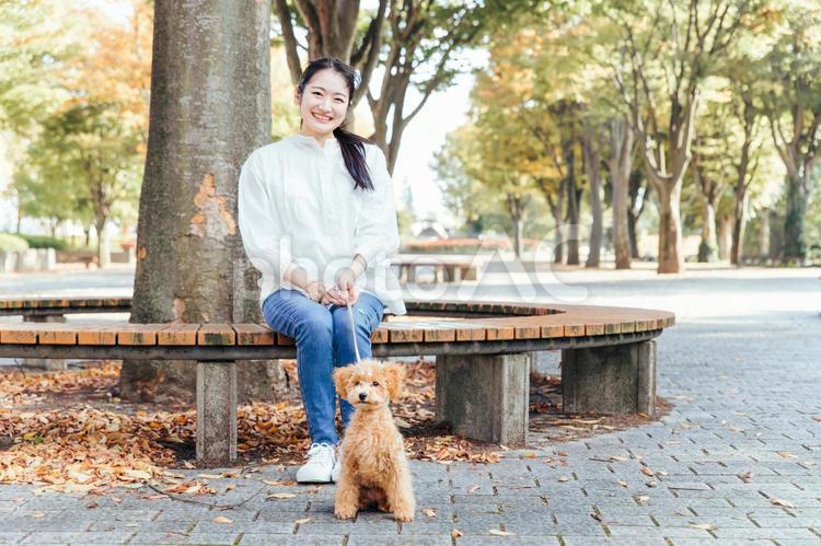 公園で犬と遊ぶ女性（全身） 犬,ペット,散歩の写真素材