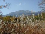 ススキ・薄の咲く風景 夏秋,山野,群生の写真素材