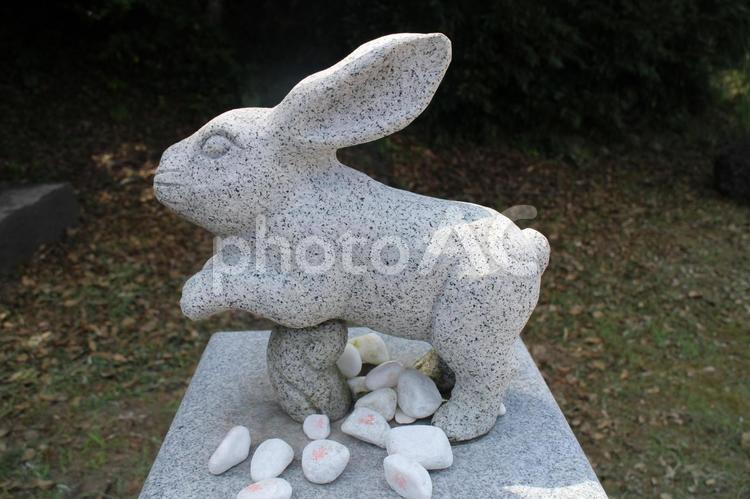 白兎神社2 白兎神社,因幡の白兎,神社の写真素材