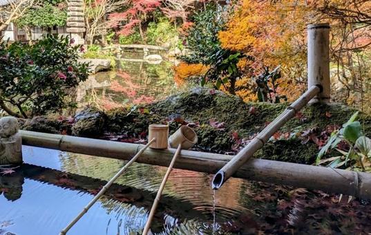 風景_秋（紅葉の手水舎） 風景,秋,紅葉の写真素材