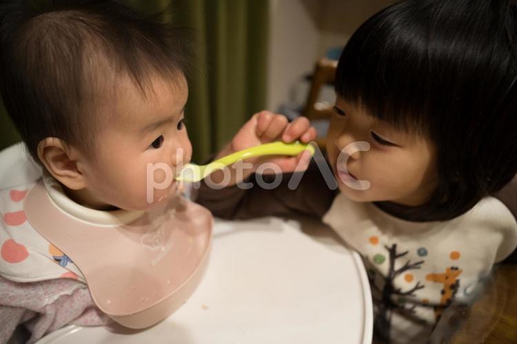 赤ちゃんに食事を与える女の子 子供,離乳食,赤ちゃんの写真素材