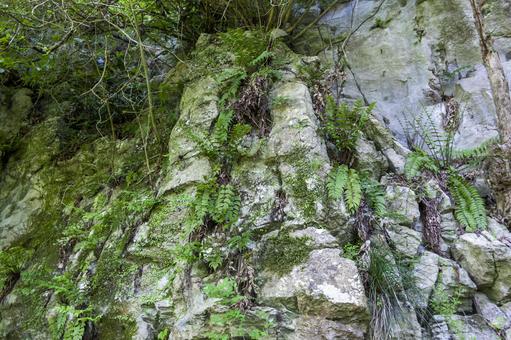 Photo, mount ishinomaki, hiking, trekking, 