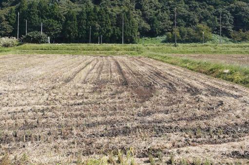 稲刈り後の田んぼ02 稲刈り後の田んぼ02 稲刈り後,田んぼ,稲刈りの写真素材