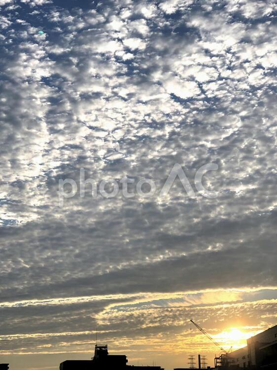 秋の夕暮れ鱗雲 秋の空,夕暮れ,風景の写真素材