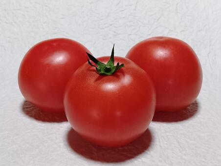 トマト 野菜,食材,食べ物の写真素材