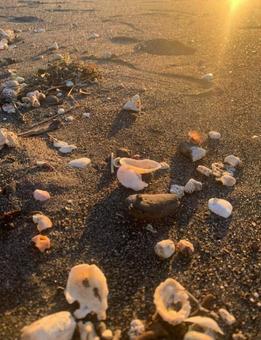 浜辺の夕暮れの写真