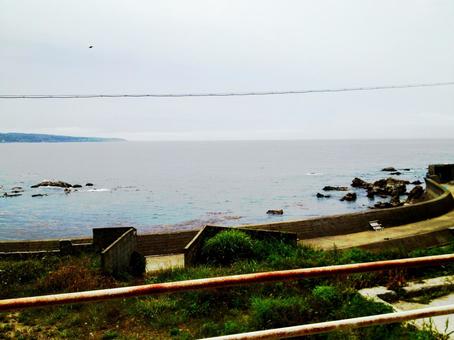 猫の島からの景色 石巻市,猫の島,海の写真素材