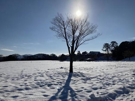 晴れと雪 晴れと雪の写真